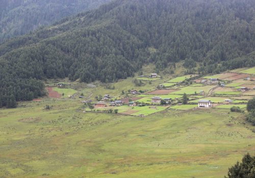 Gangtey Trek